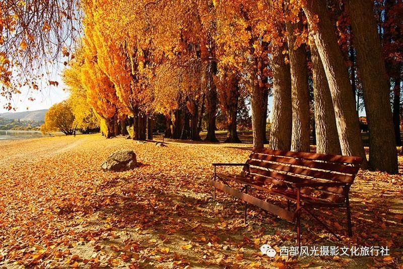 两会新视野｜鲁涛：抓住大数据时代把电用“活” 实现“人防”“物防”“技防”