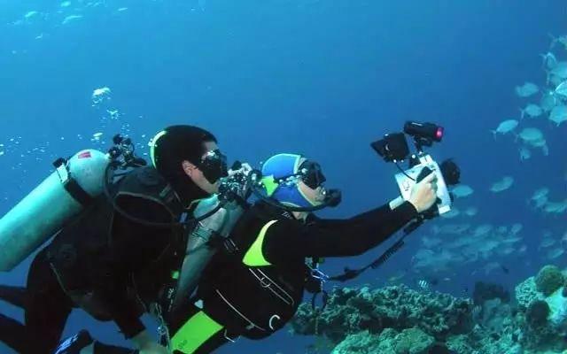 桔子数科典型案例入选《2023年中国互联网发展报告》