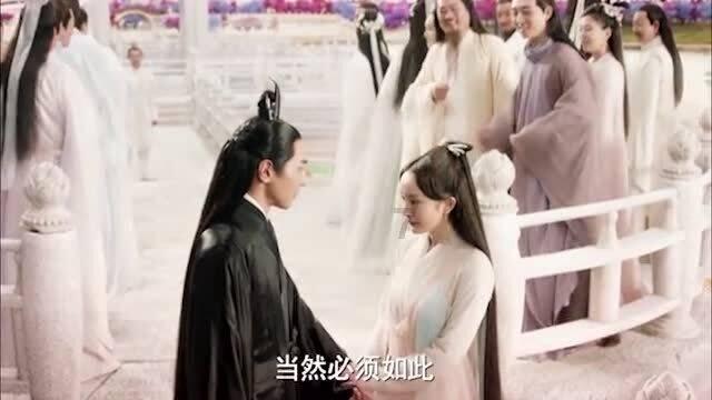 为什么稻田画的设计费那么贵?