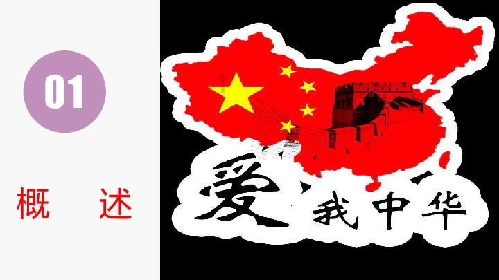 飞天小猪仔