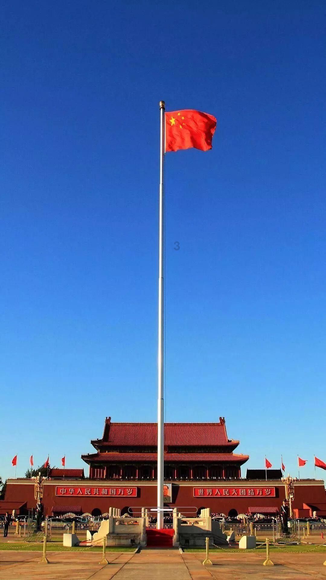 救援花栗鼠
