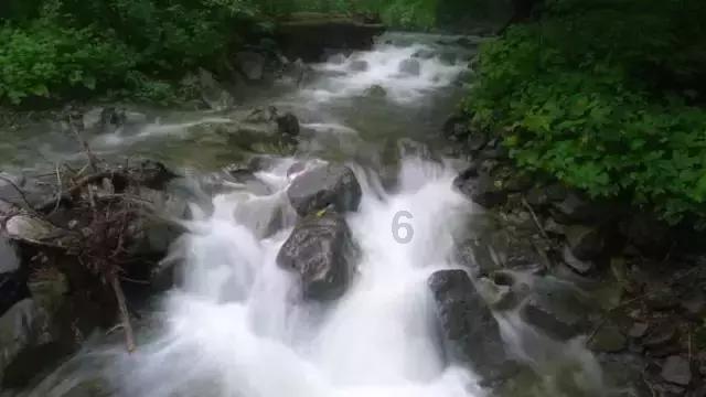 王子与公主冒险