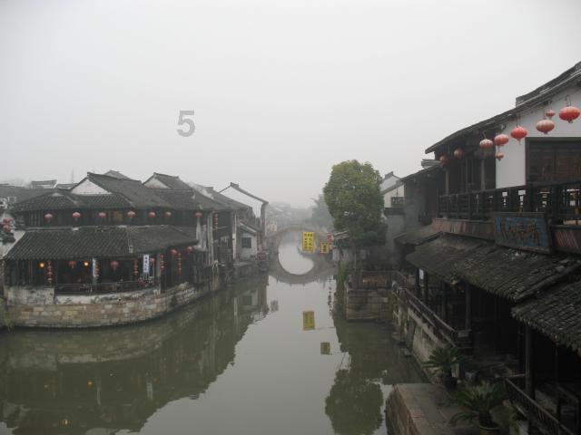 可爱的小孔雀救援